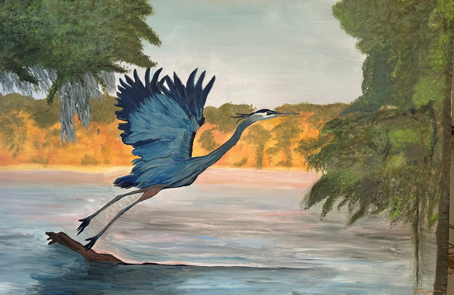 “Soar”