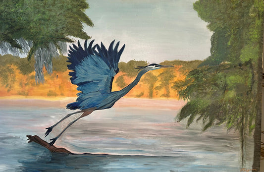 “Soar”